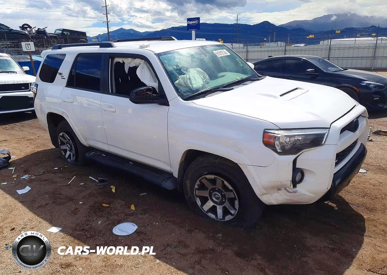 2019 Toyota 4Runner Trd Off-Road VIN:JTEBU5JR2K5623449 - 4