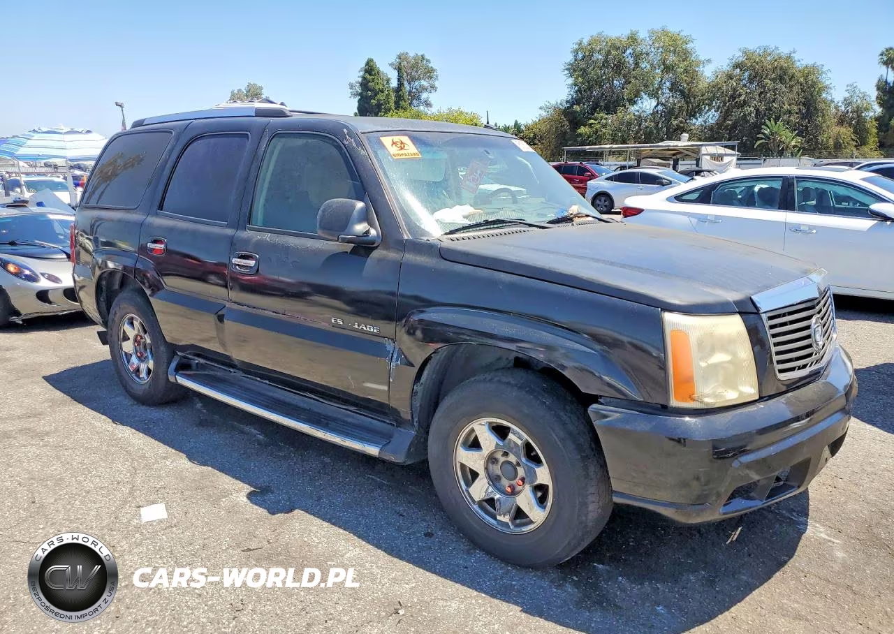 2003 Cadillac Escalade Luxury VIN:1GYEK63N23R126381 - 4