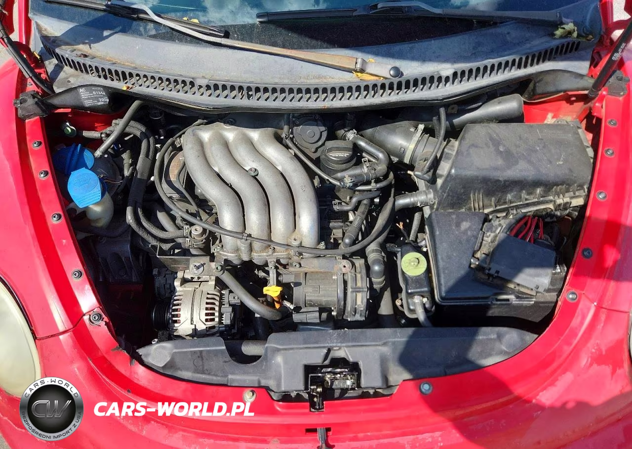 1999 Volkswagen New Beetle Gls VIN:3VWCC21C5XM447808 - 11