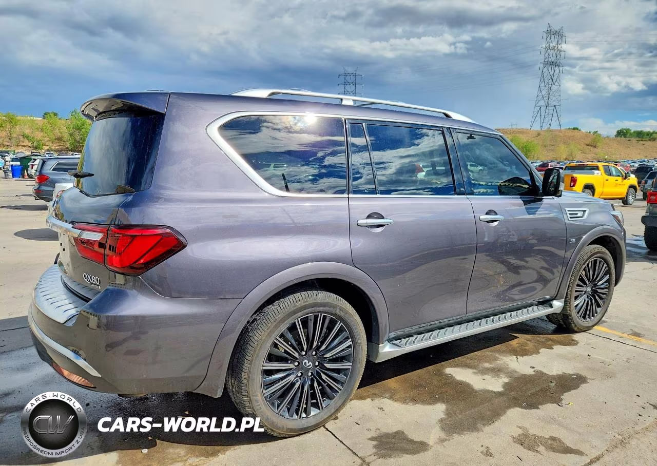 2019 Infiniti Qx80 Limited VIN:JN8AZ2NE5K9228119 - 3