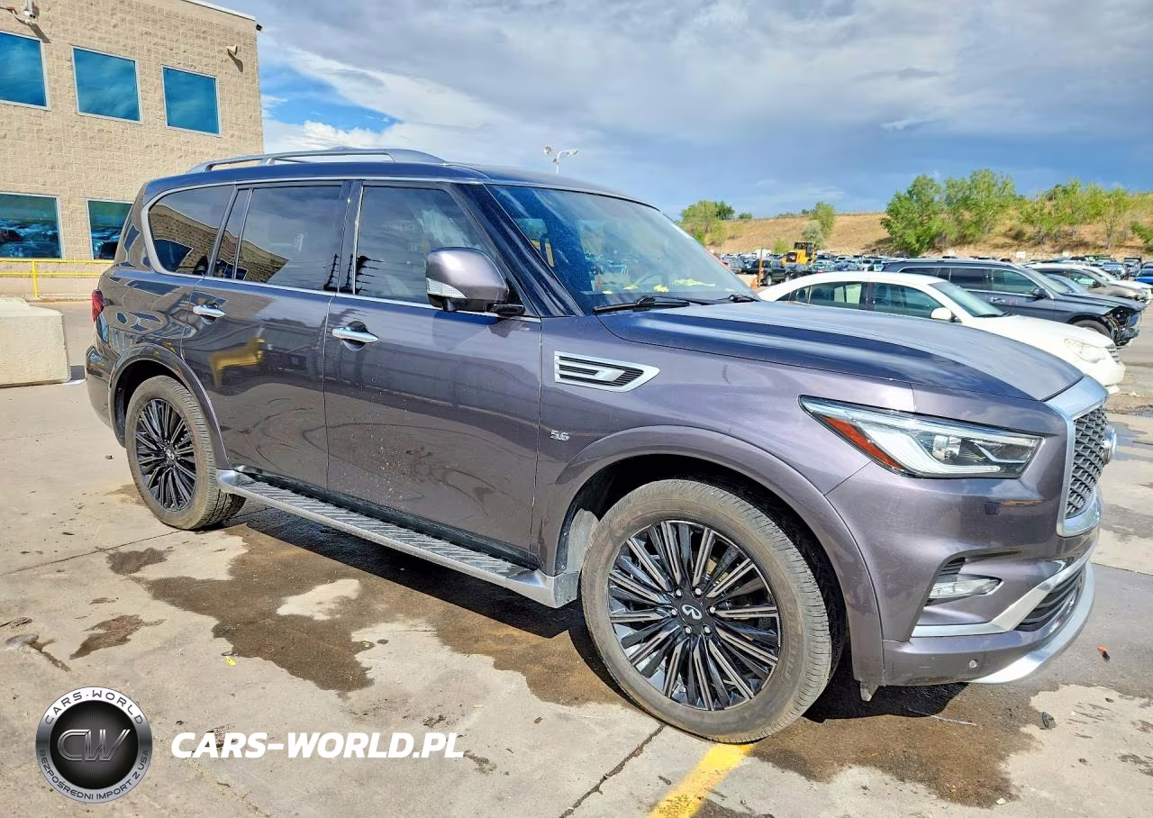 2019 Infiniti Qx80 Limited VIN:JN8AZ2NE5K9228119 - 4
