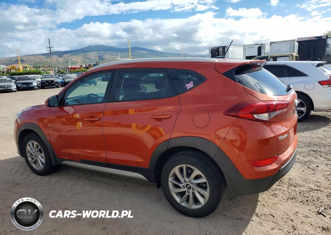 2017 Hyundai Tucson Se VIN:KM8J33A41HU378780 - 2