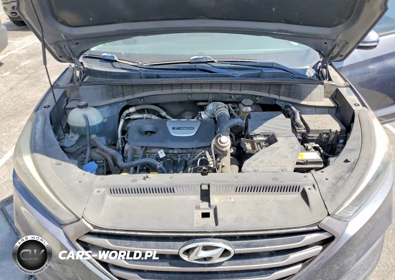 2016 Hyundai Tucson Eco VIN:KM8J33A2XGU143520 - 12