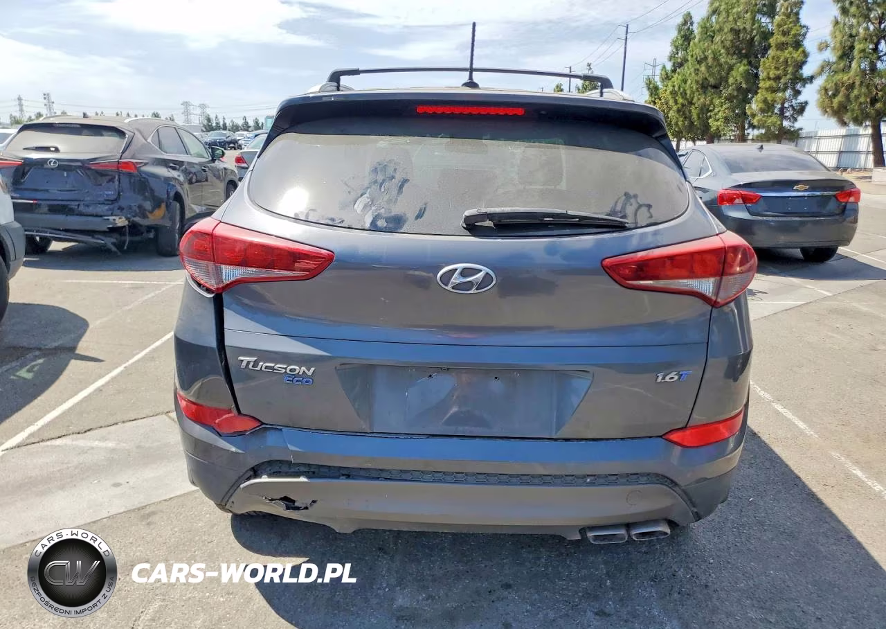 2016 Hyundai Tucson Eco VIN:KM8J33A2XGU143520 - 6