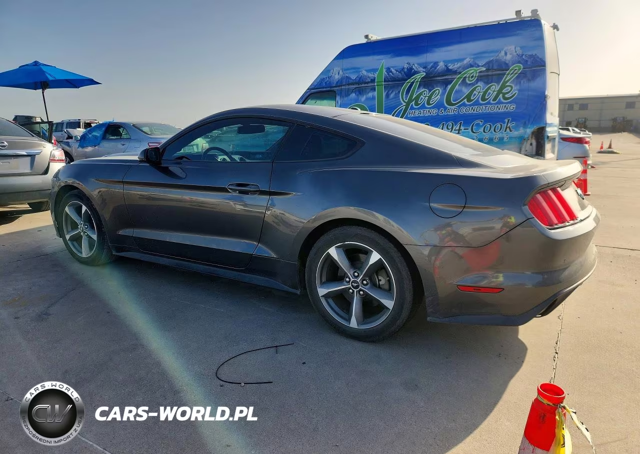 2017 Ford Mustang VIN:1FA6P8TH8H5228919 - 2