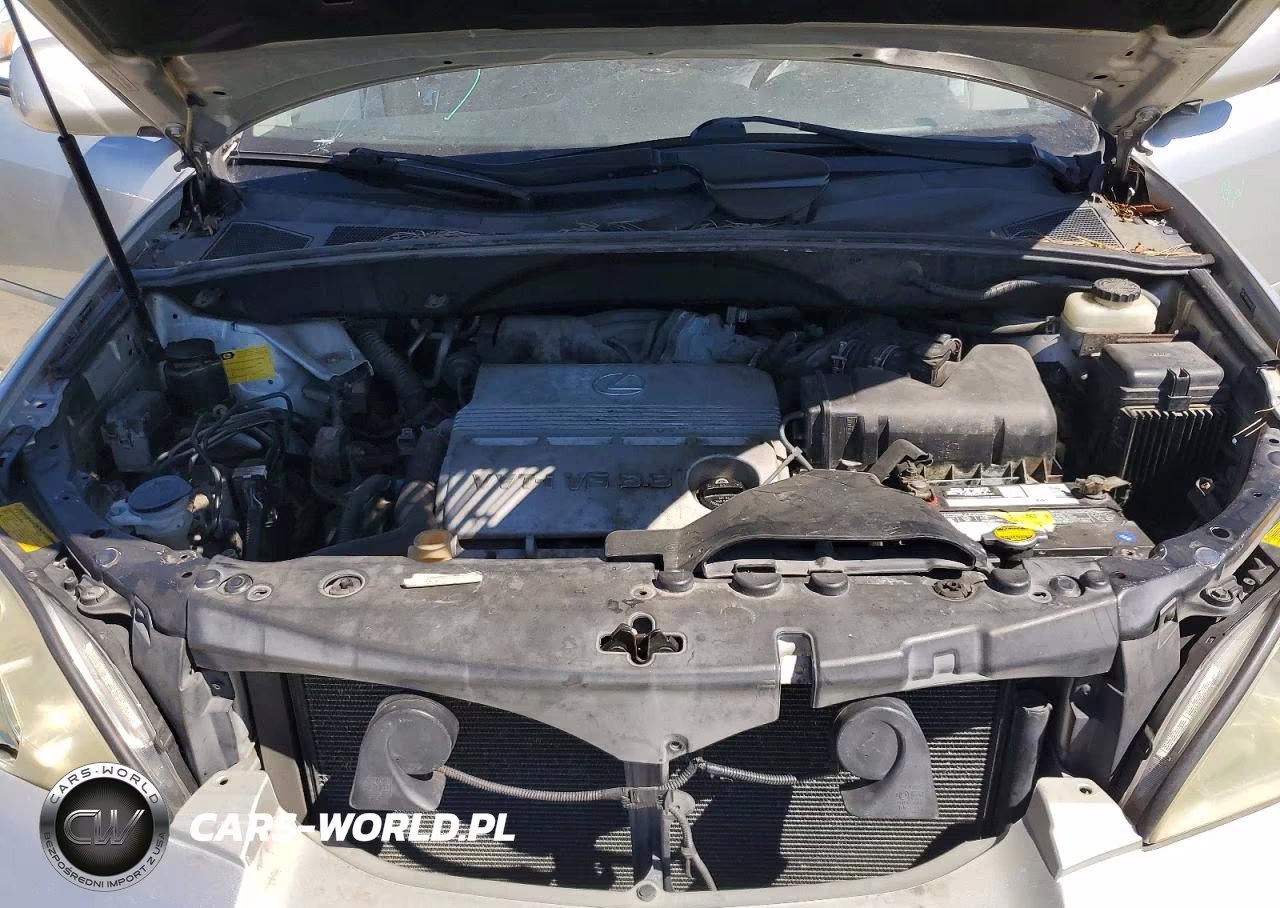2004 Lexus Rx 330 VIN:JTJHA31U240014391 - 12