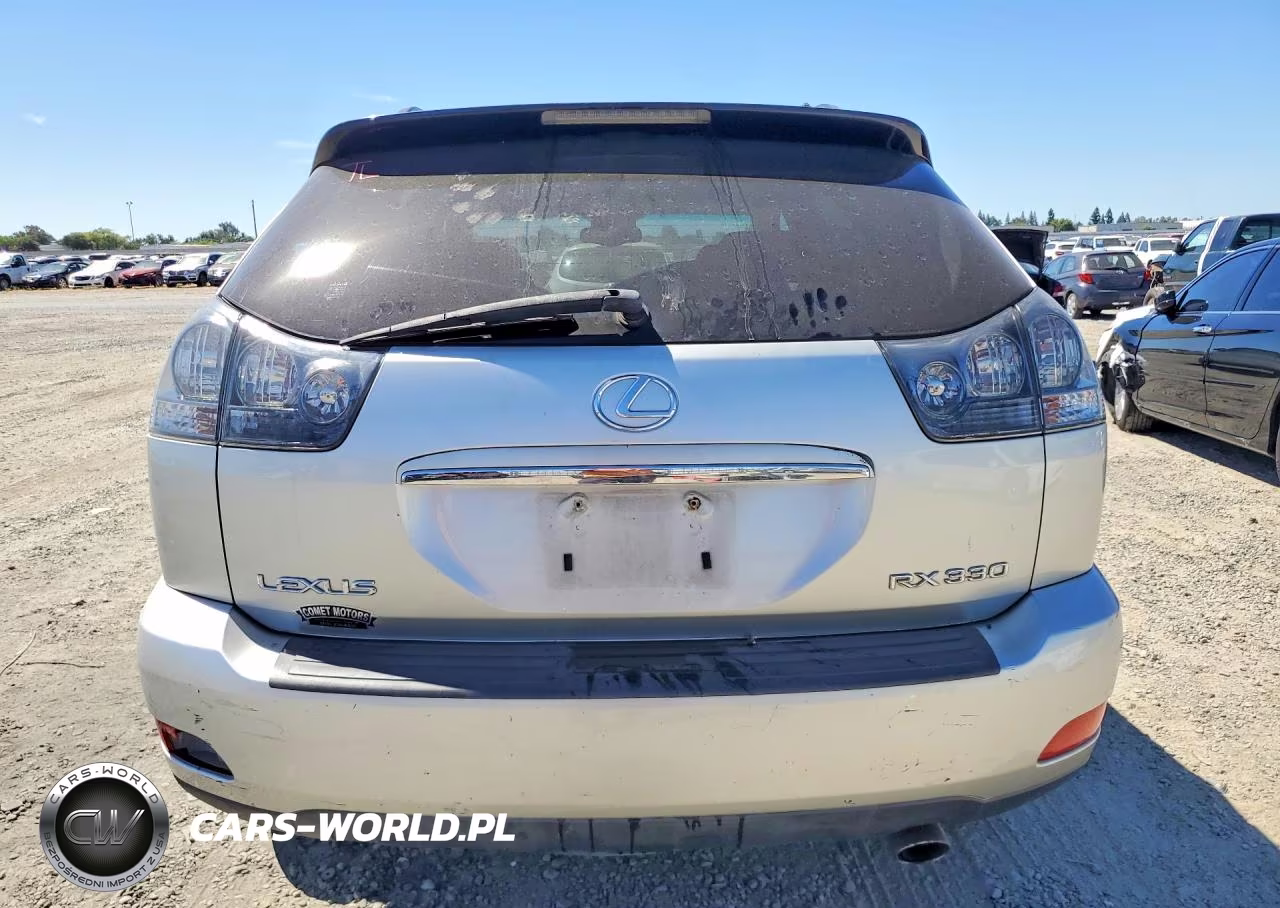2004 Lexus Rx 330 VIN:JTJHA31U240014391 - 6