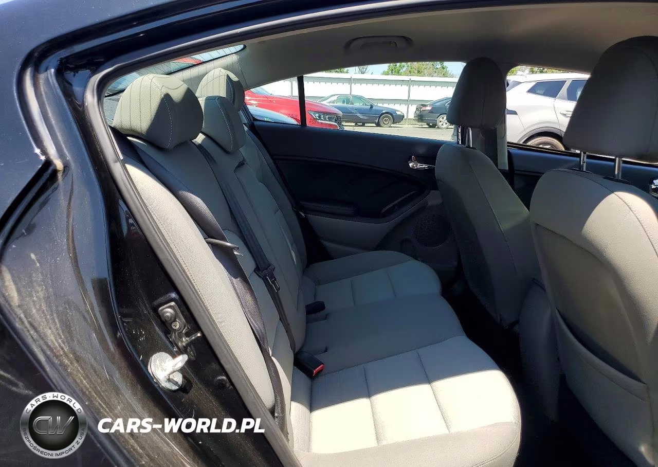 2014 Kia Forte Ex VIN:KNAFX4A8XE5060148 - 10