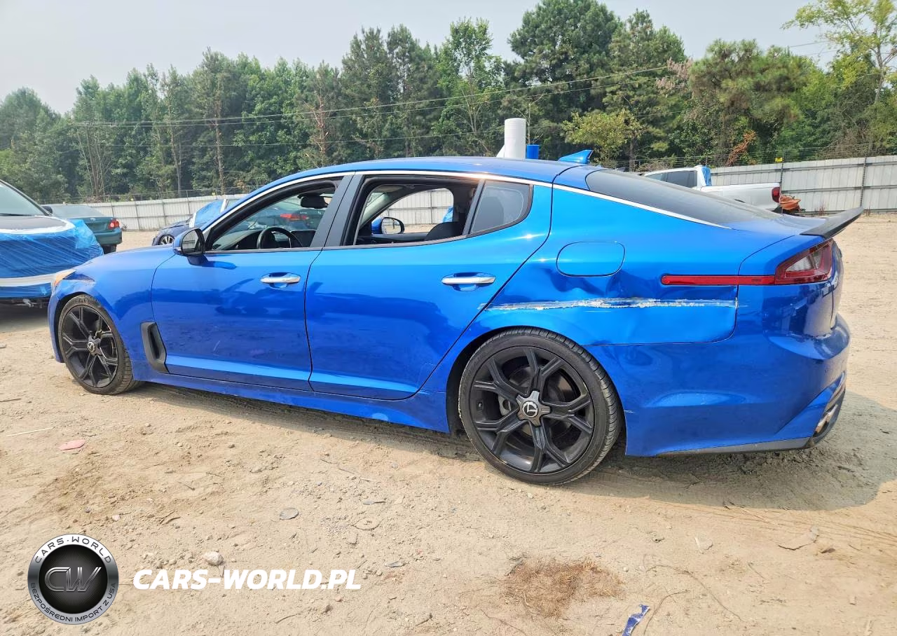 2019 Kia Stinger Base VIN:KNAE15LA5K6066075 - 2