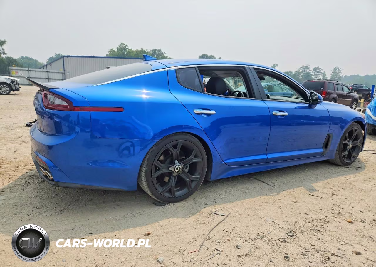 2019 Kia Stinger Base VIN:KNAE15LA5K6066075 - 3