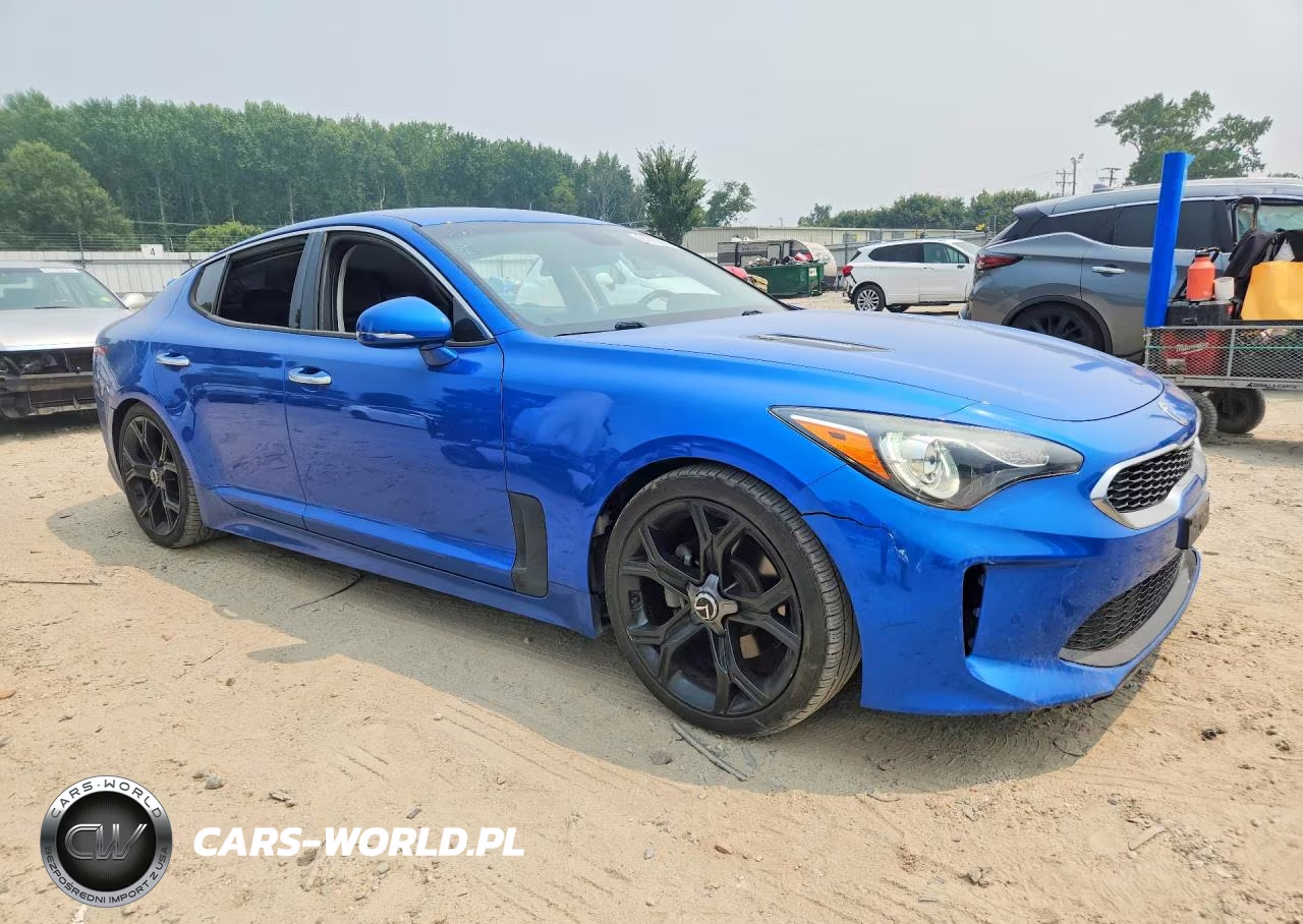 2019 Kia Stinger Base VIN:KNAE15LA5K6066075 - 4
