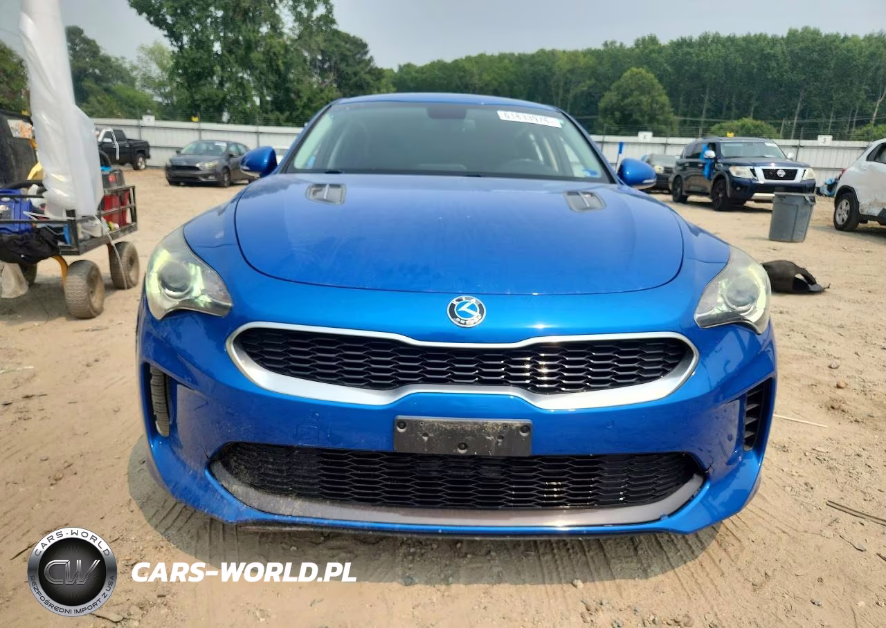 2019 Kia Stinger Base VIN:KNAE15LA5K6066075 - 5