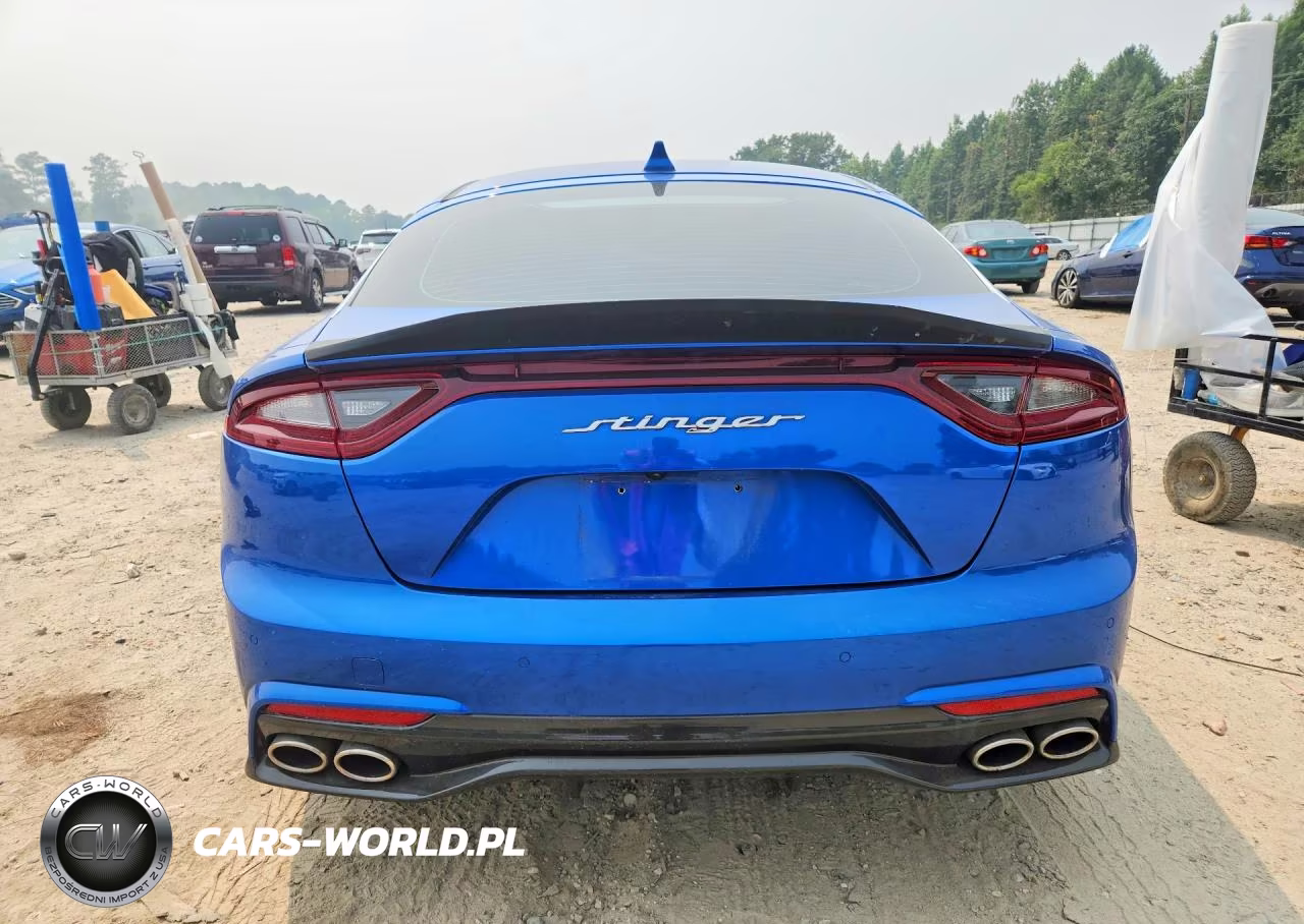 2019 Kia Stinger Base VIN:KNAE15LA5K6066075 - 6