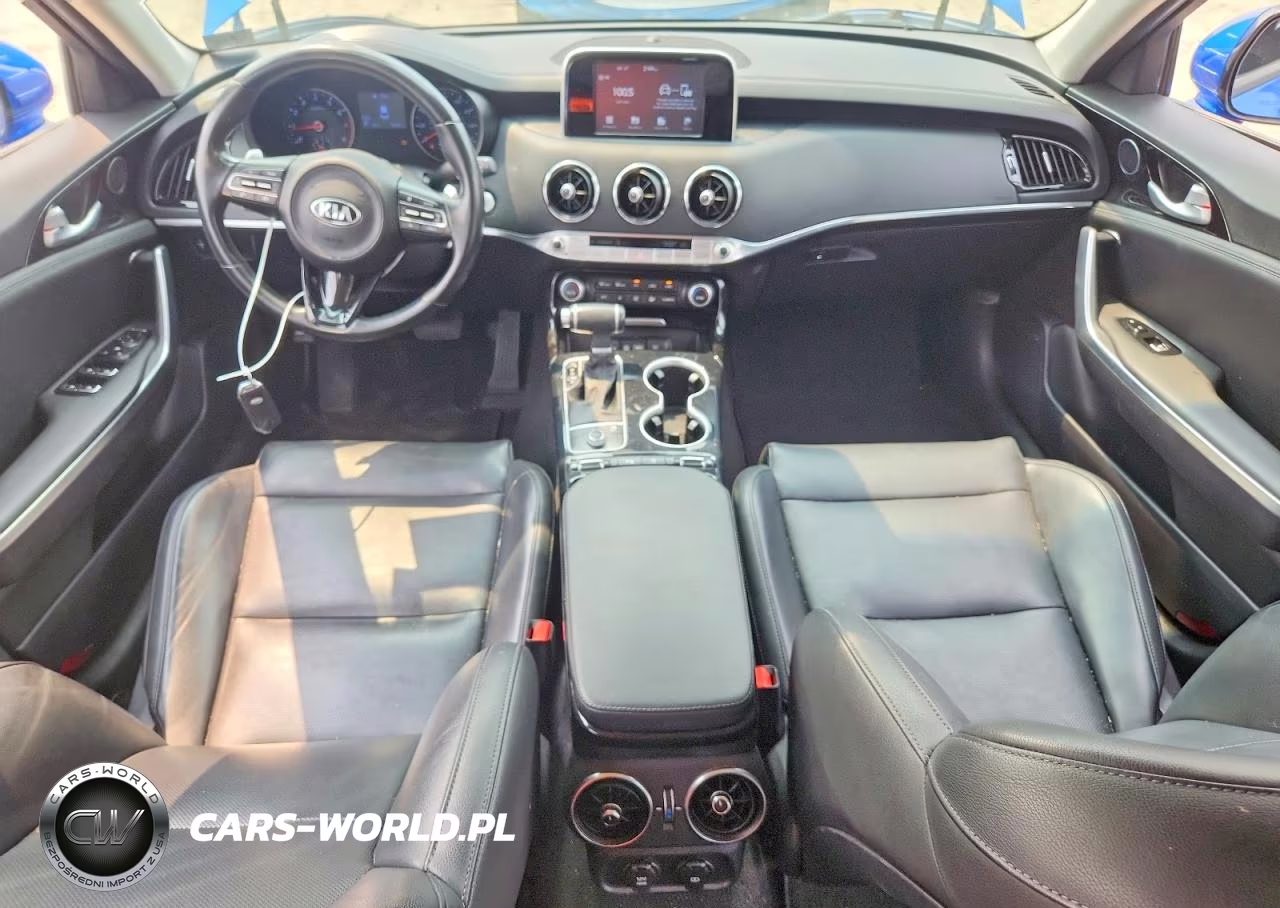 2019 Kia Stinger Base VIN:KNAE15LA5K6066075 - 8