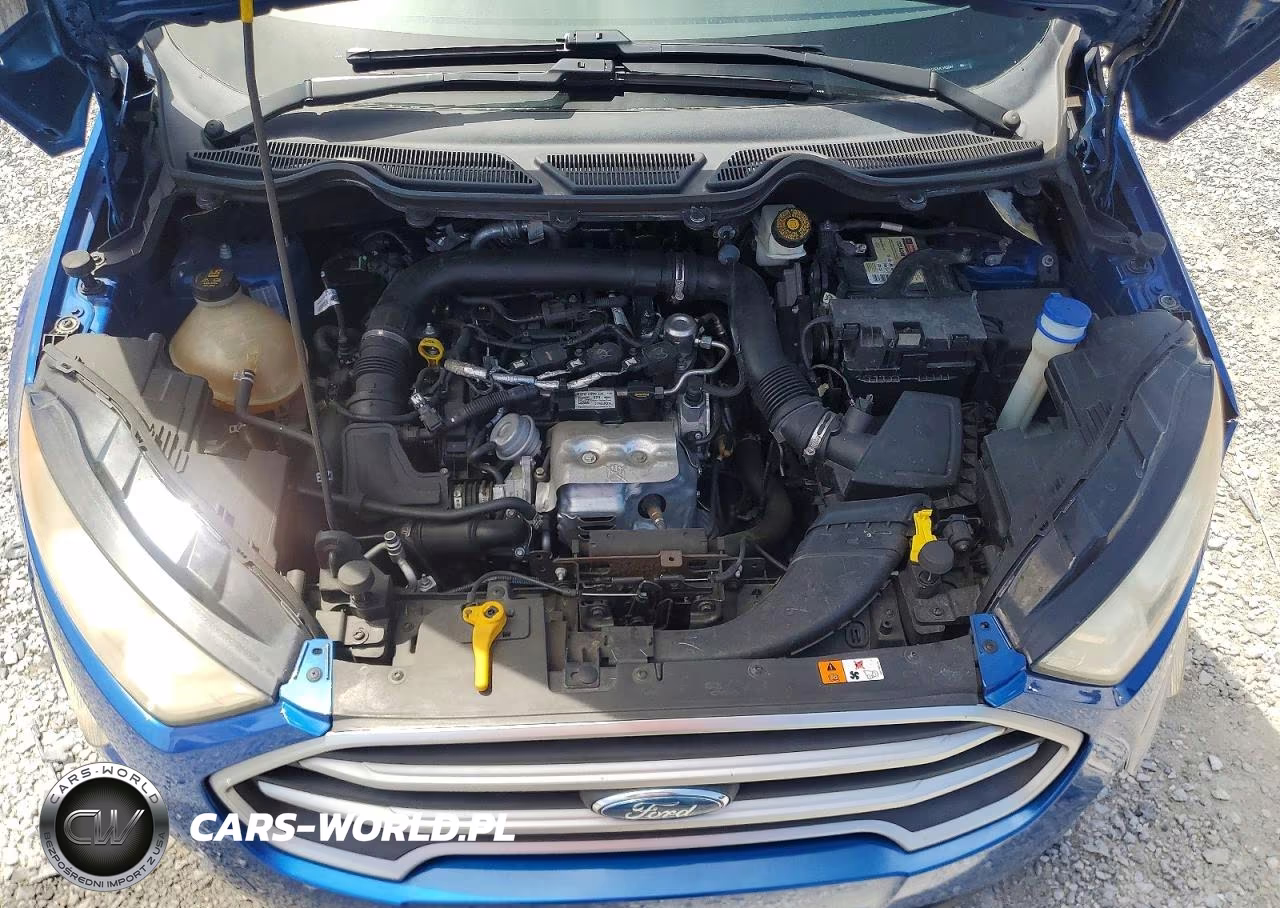 2018 Ford Ecosport Se VIN:MAJ3P1TE5JC183844 - 12