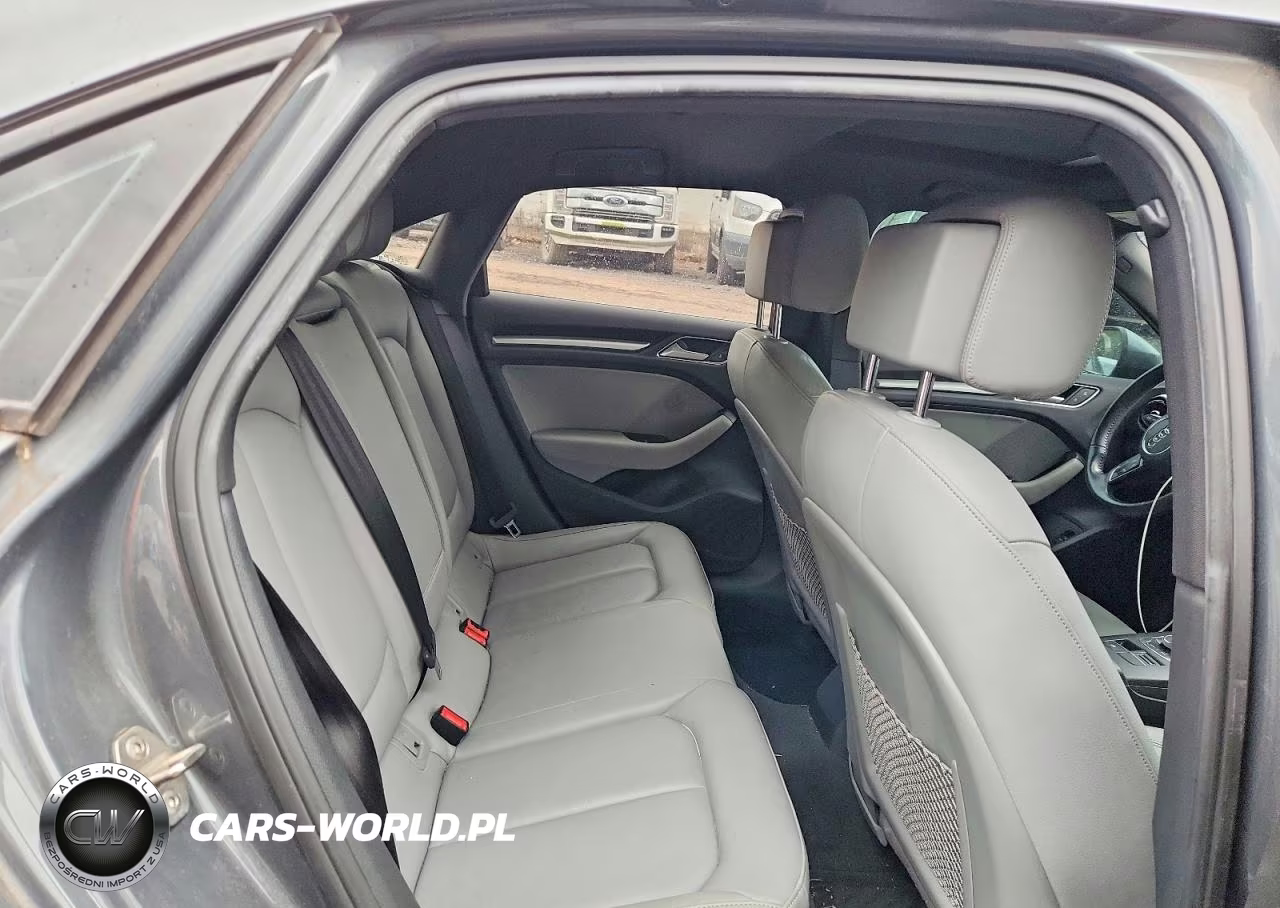 2017 Audi A3 Premium VIN:WAUB8GFF3H1051520 - 10