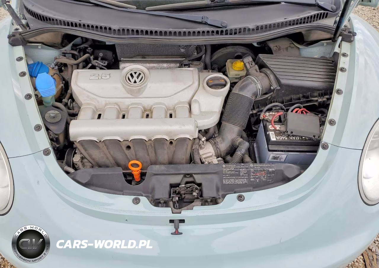 2006 Volk New Beetle 2D Conver VIN:3VWRG31Y06M333861 - 11