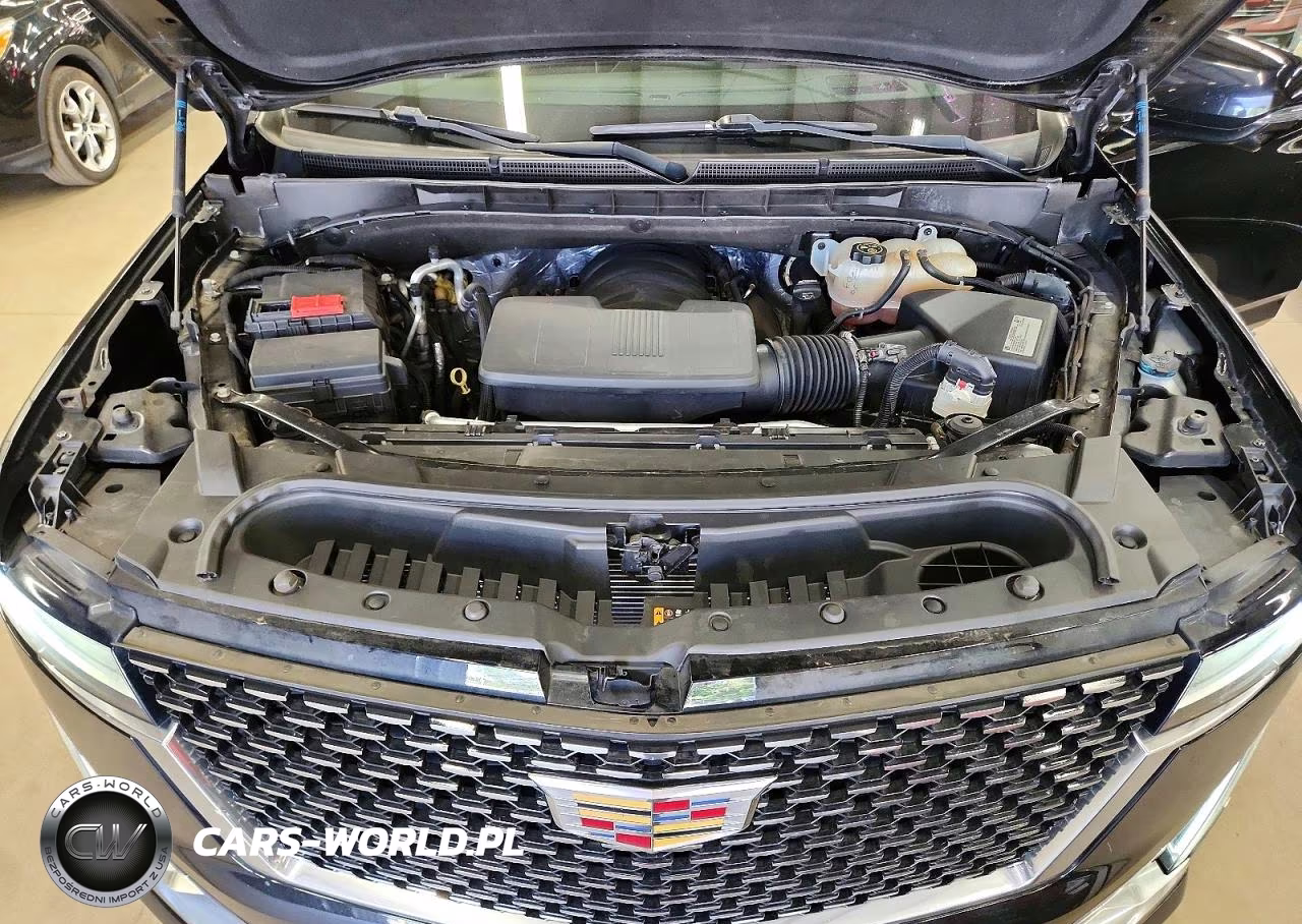 2021 Cadillac Escalade Esv Premium Luxury VIN:1GYS4KKL8MR390969 - 12
