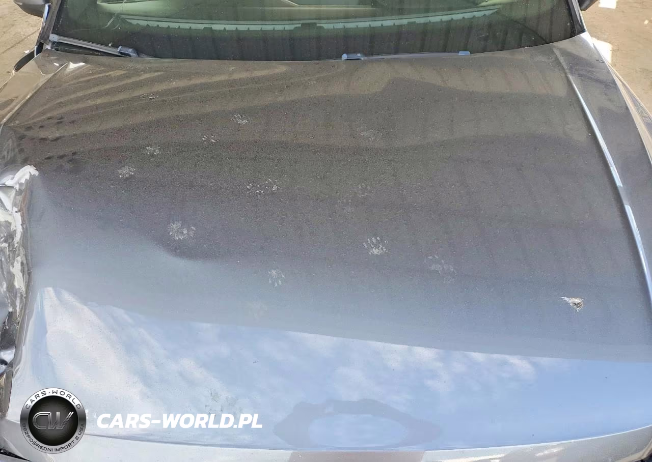 2019 Volkswagen Tiguan Se VIN:3VV2B7AX7KM062228 - 11