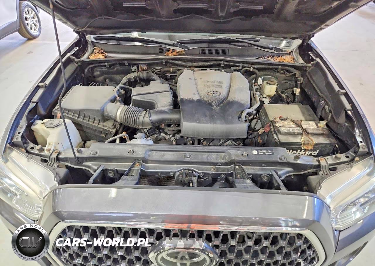 2019 Toyota Tacoma Trd Sport VIN:3TMCZ5AN3KM195943 - 11