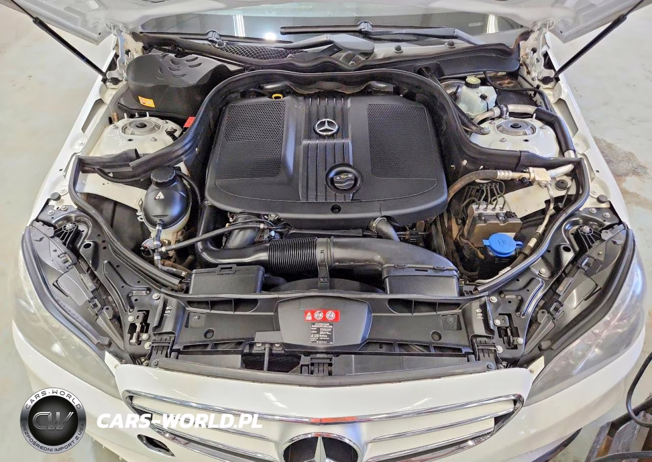 2014 Mercedes-Benz E 250 Bluetec VIN:WDDHF0EB6EA879197 - 11