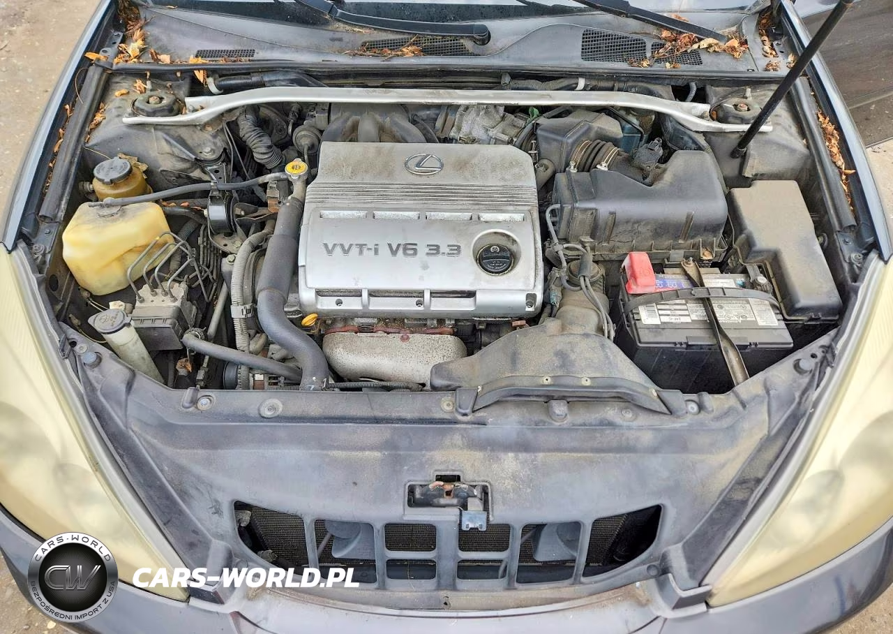 2004 Lexus Es 330 VIN:JTHBA30G545045060 - 11