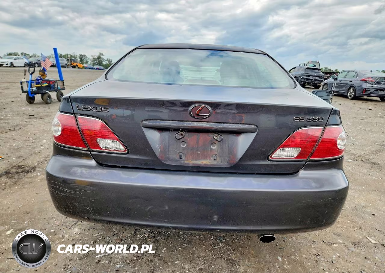 2004 Lexus Es 330 VIN:JTHBA30G545045060 - 6
