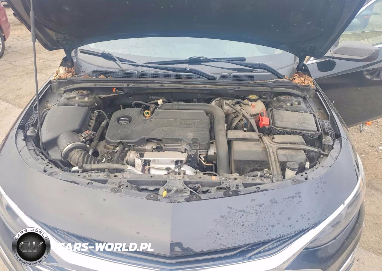 2019 Chevrolet Malibu Ls VIN:1G1ZB5ST8KF174851 - 11