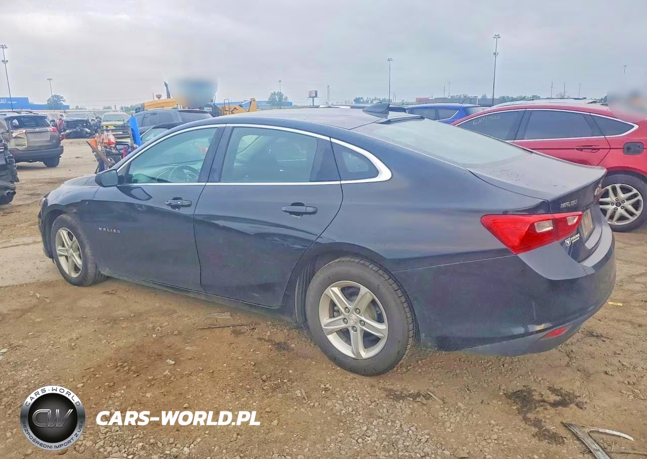 2019 Chevrolet Malibu Ls VIN:1G1ZB5ST8KF174851 - 2