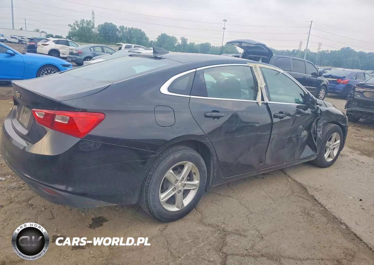 2019 Chevrolet Malibu Ls VIN:1G1ZB5ST8KF174851 - 3