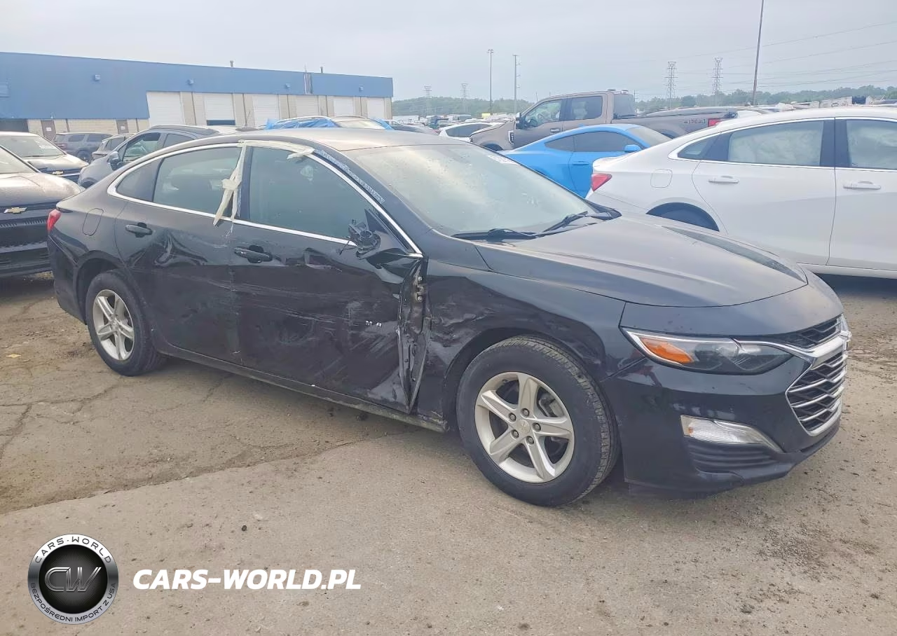2019 Chevrolet Malibu Ls VIN:1G1ZB5ST8KF174851 - 4