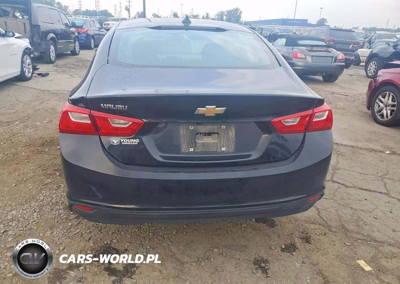 2019 Chevrolet Malibu Ls VIN:1G1ZB5ST8KF174851 - 6