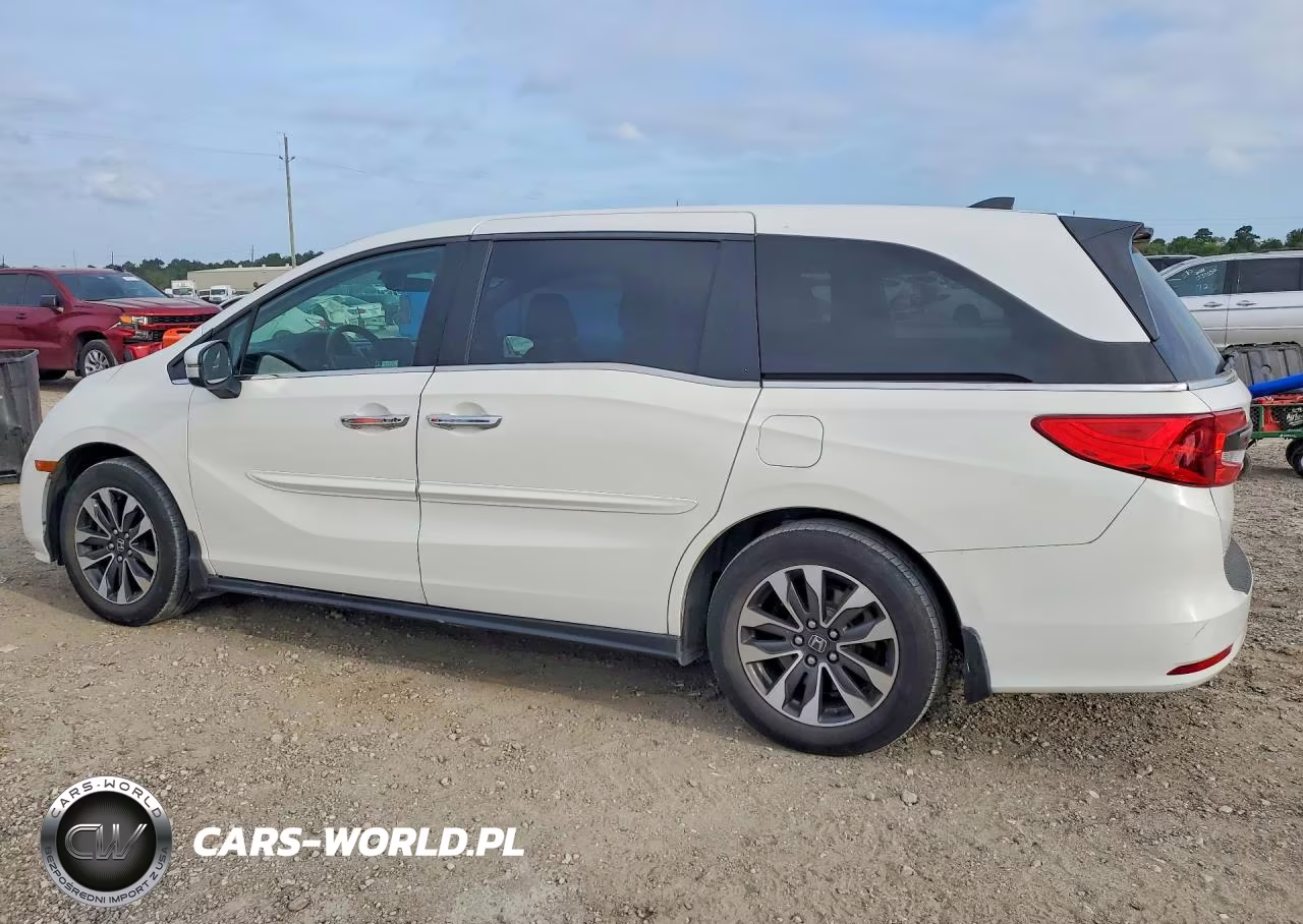 2024 HONDA ODYSSEY EX-L VIN:5FNRL6H6XRB007868 - 2