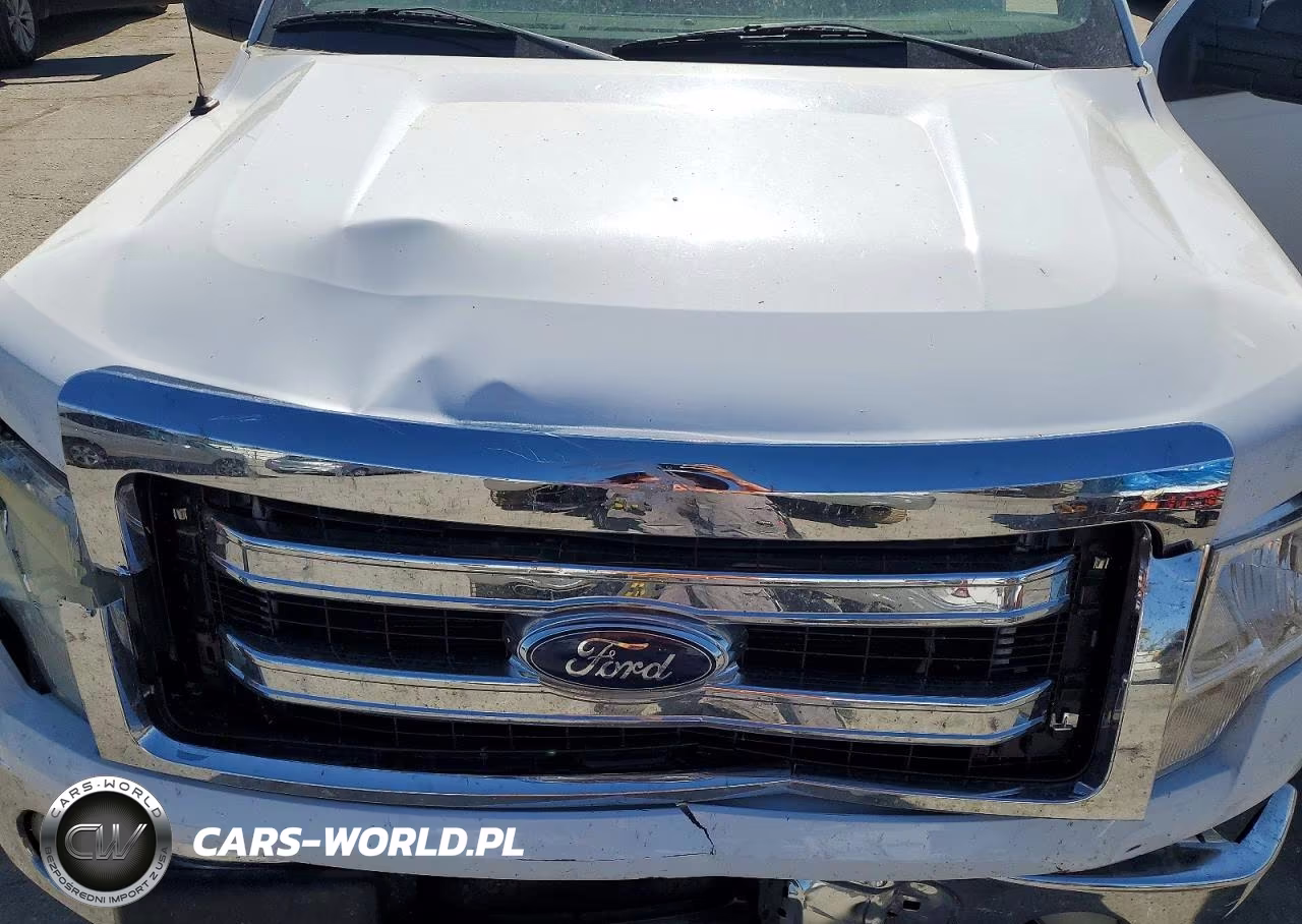 2014 Ford F150 Supercrew VIN:1FTEW1CM2EKE57395 - 11