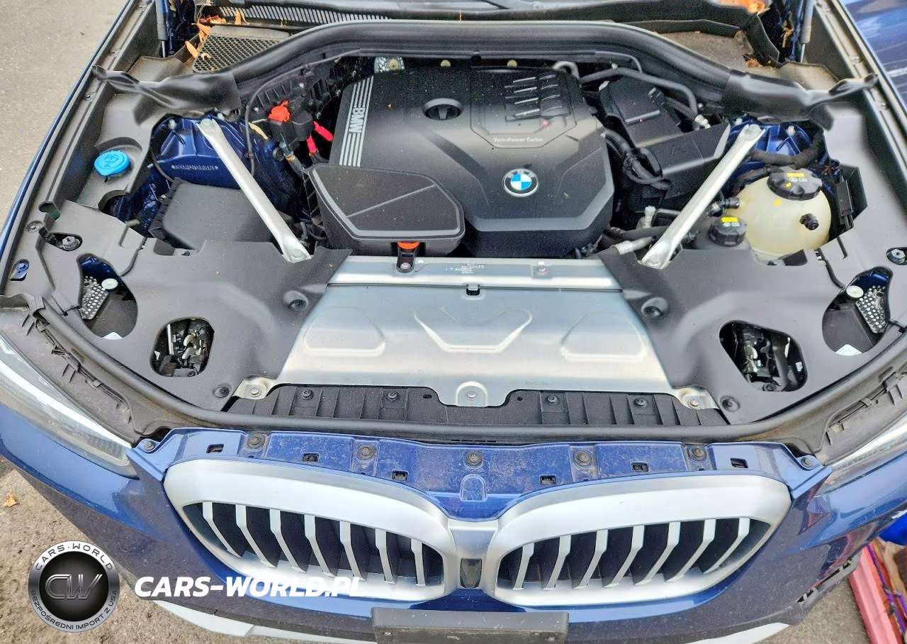 2022 BMW X3 xDrive30I VIN:5UX53DP06N9J94528 - 12