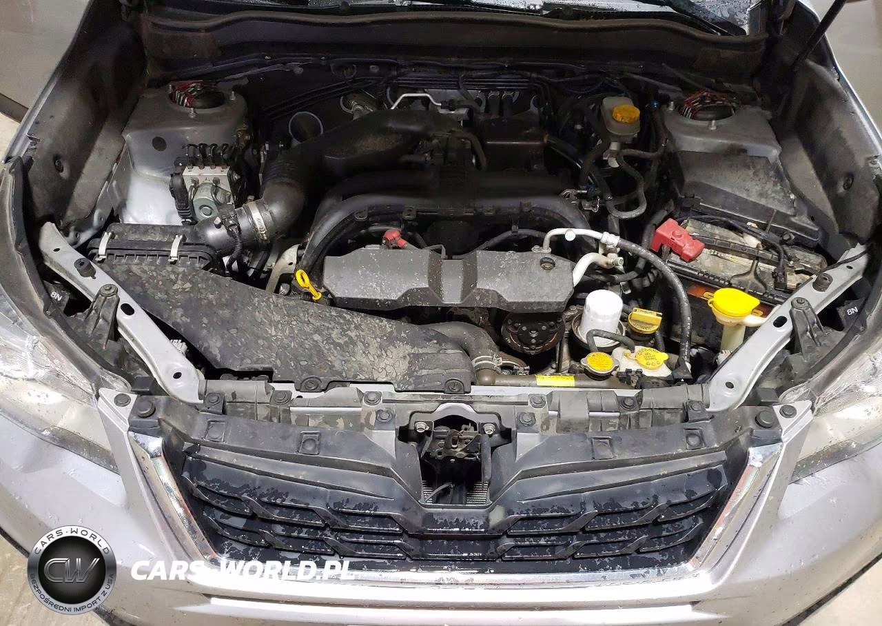 2017 Subaru Forester 2.5I Premium VIN:JF2SJAEC5HH517386 - 12