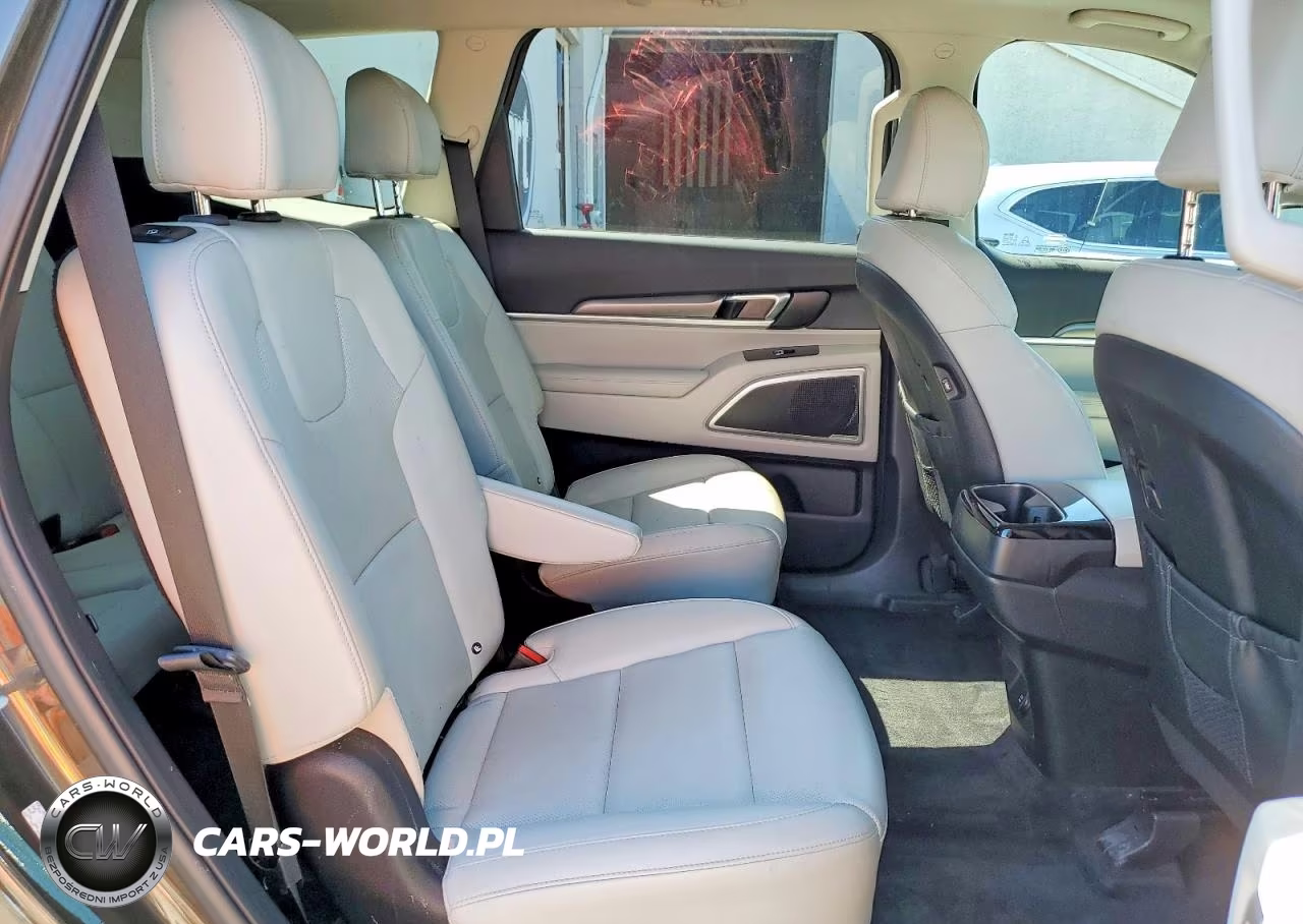 2020 Kia Telluride S VIN:5XYP6DHC8LG005805 - 11