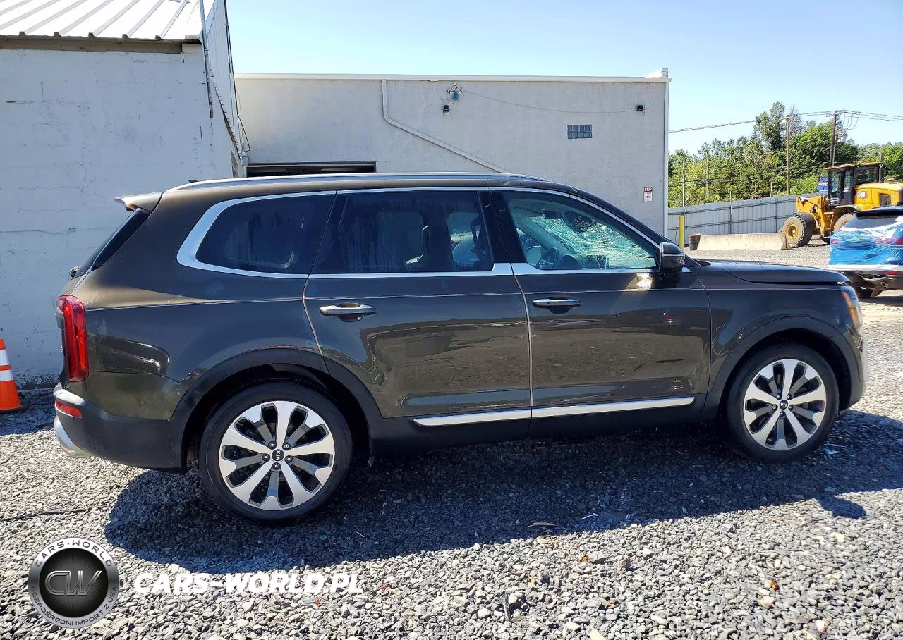 2020 Kia Telluride S VIN:5XYP6DHC8LG005805 - 3