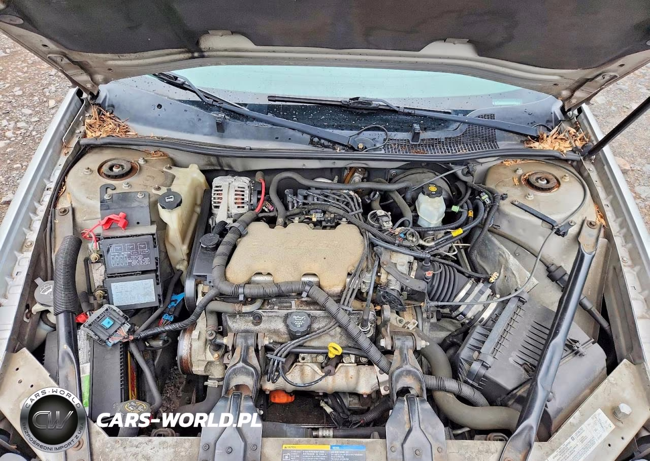 2005 Chevrolet Impala VIN:2G1WF52E159207016 - 11