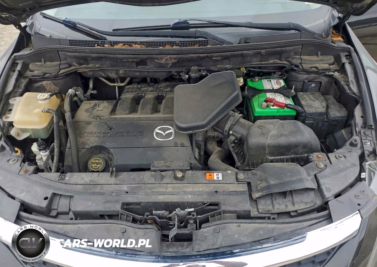 2009 Mazda Cx-9 VIN:JM3TB38A690178196 - 12