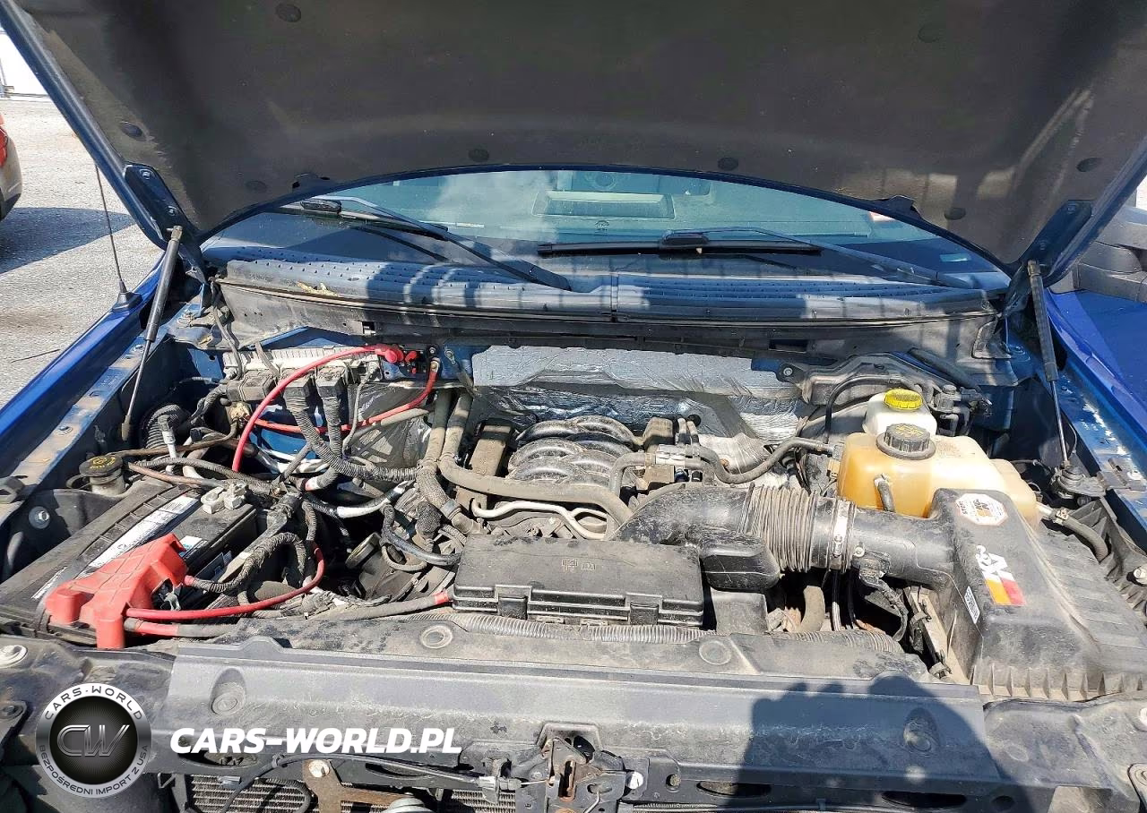 2014 Ford F150 Supercrew VIN:1FTFW1EF1EKG56618 - 11