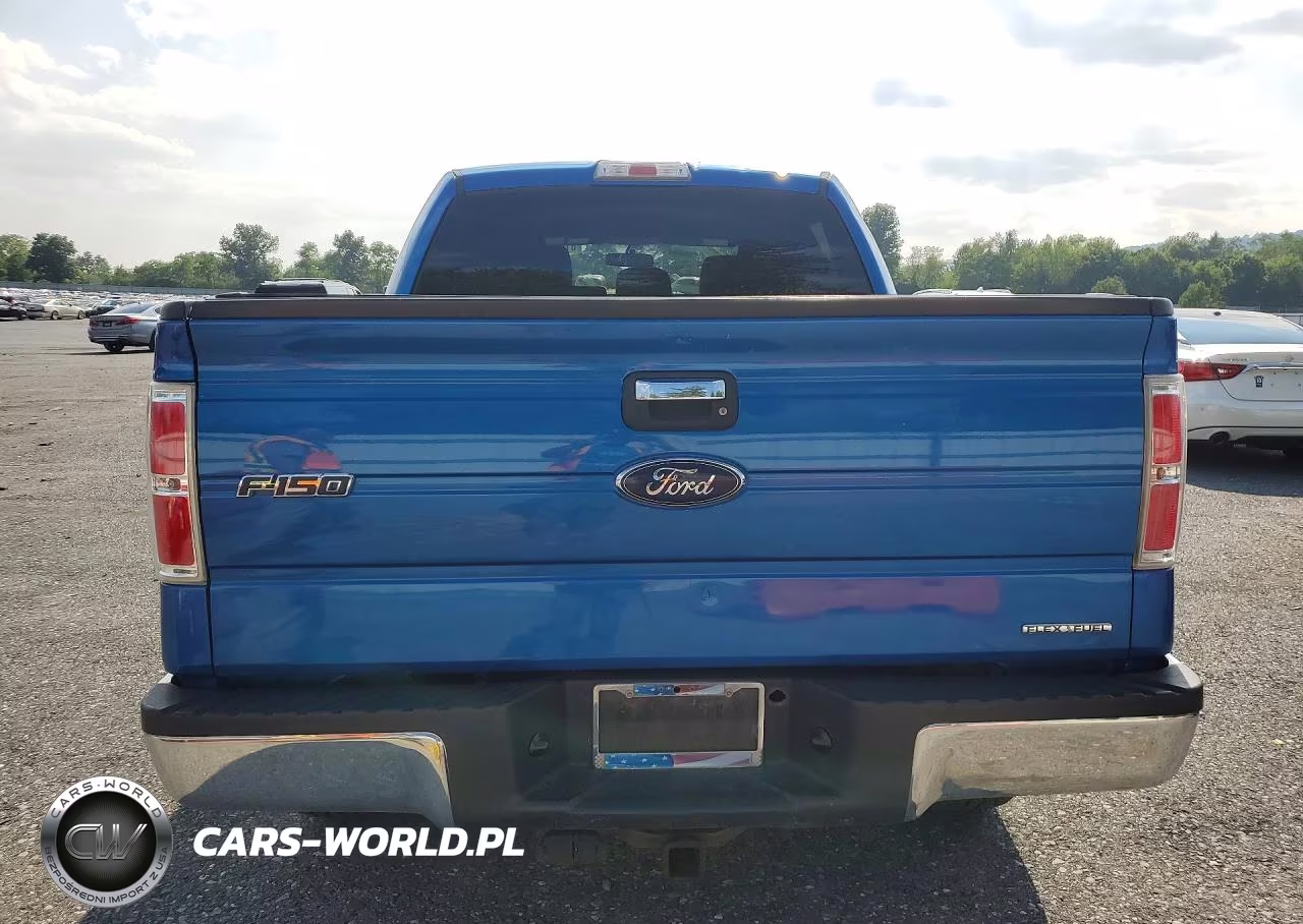 2014 Ford F150 Supercrew VIN:1FTFW1EF1EKG56618 - 6