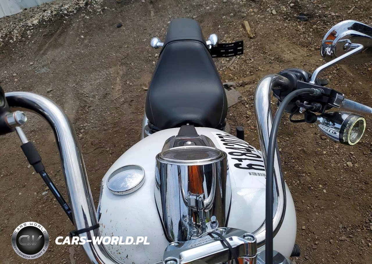 2026 Harley-Davidson Fxd VIN:1HD1BK910TB037837 - 5