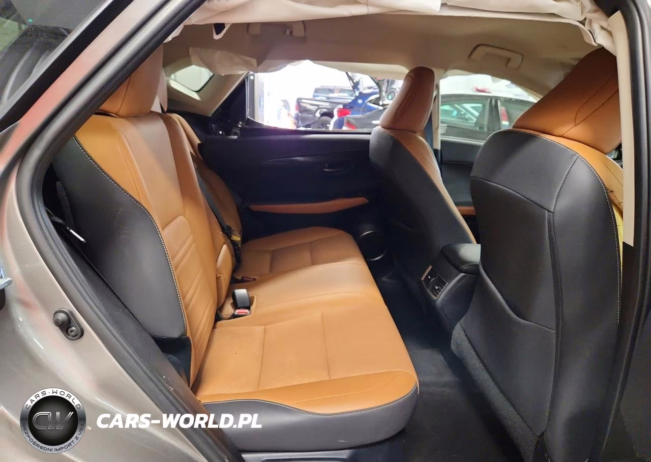 2018 Lexus Nx 300 Base VIN:JTJBARBZ9J2158765 - 10