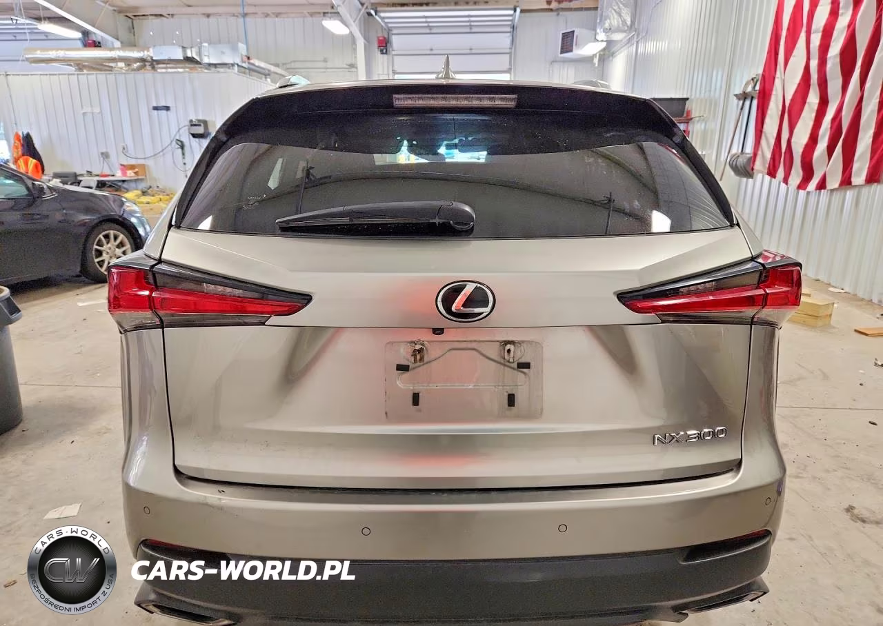 2018 Lexus Nx 300 Base VIN:JTJBARBZ9J2158765 - 6