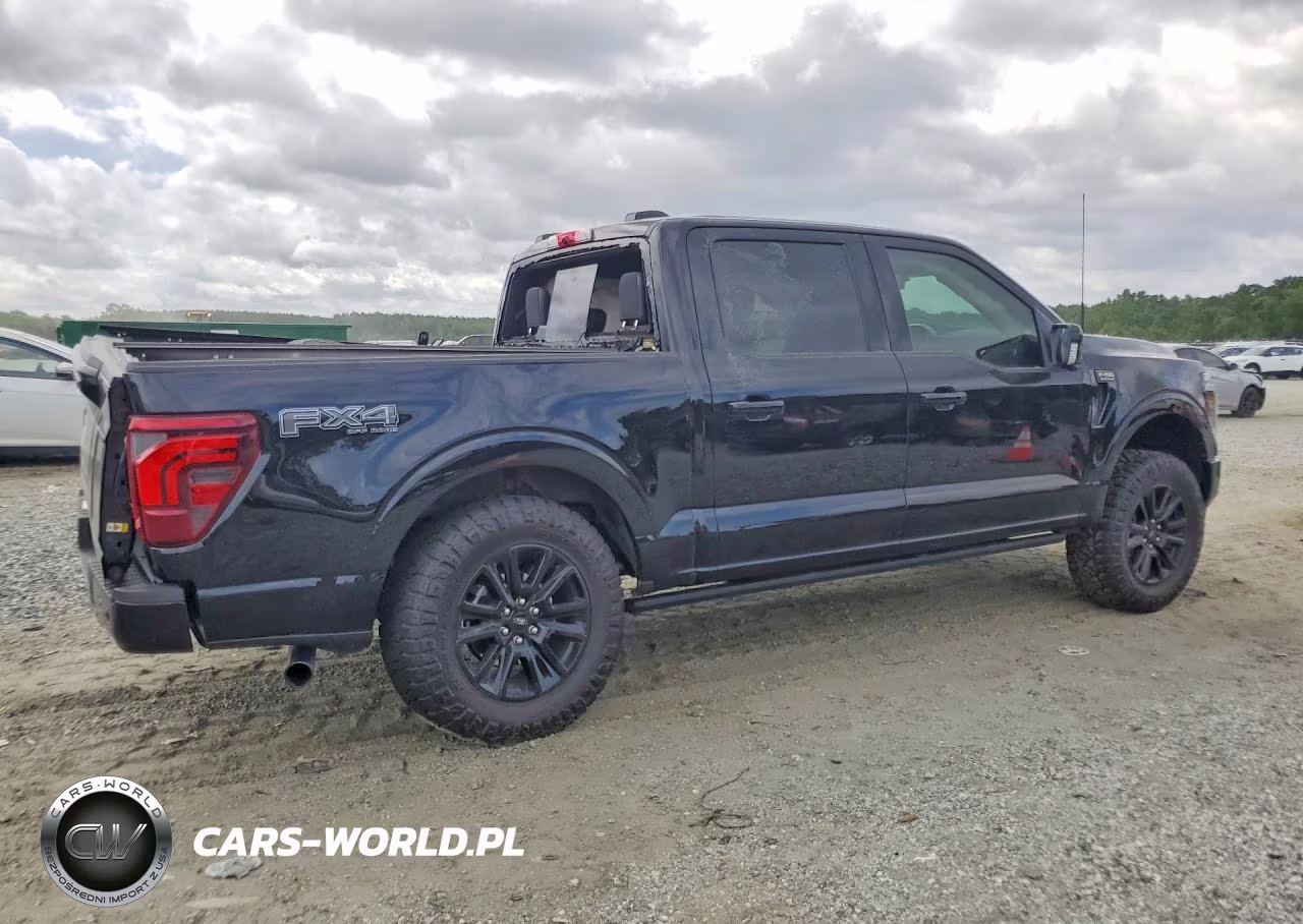 2025 Ford F150 Platinum VIN:1FTFW7L84SFC67046 - 3