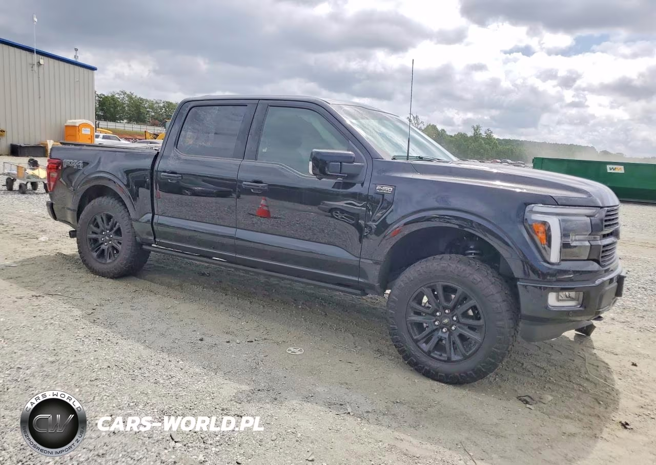 2025 Ford F150 Platinum VIN:1FTFW7L84SFC67046 - 4