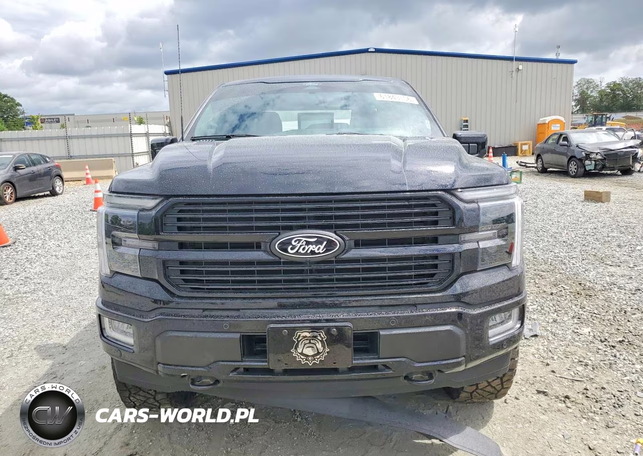 2025 Ford F150 Platinum VIN:1FTFW7L84SFC67046 - 5