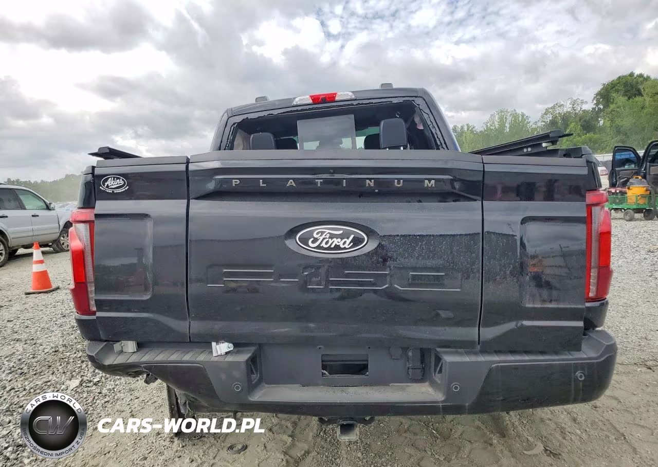 2025 Ford F150 Platinum VIN:1FTFW7L84SFC67046 - 6