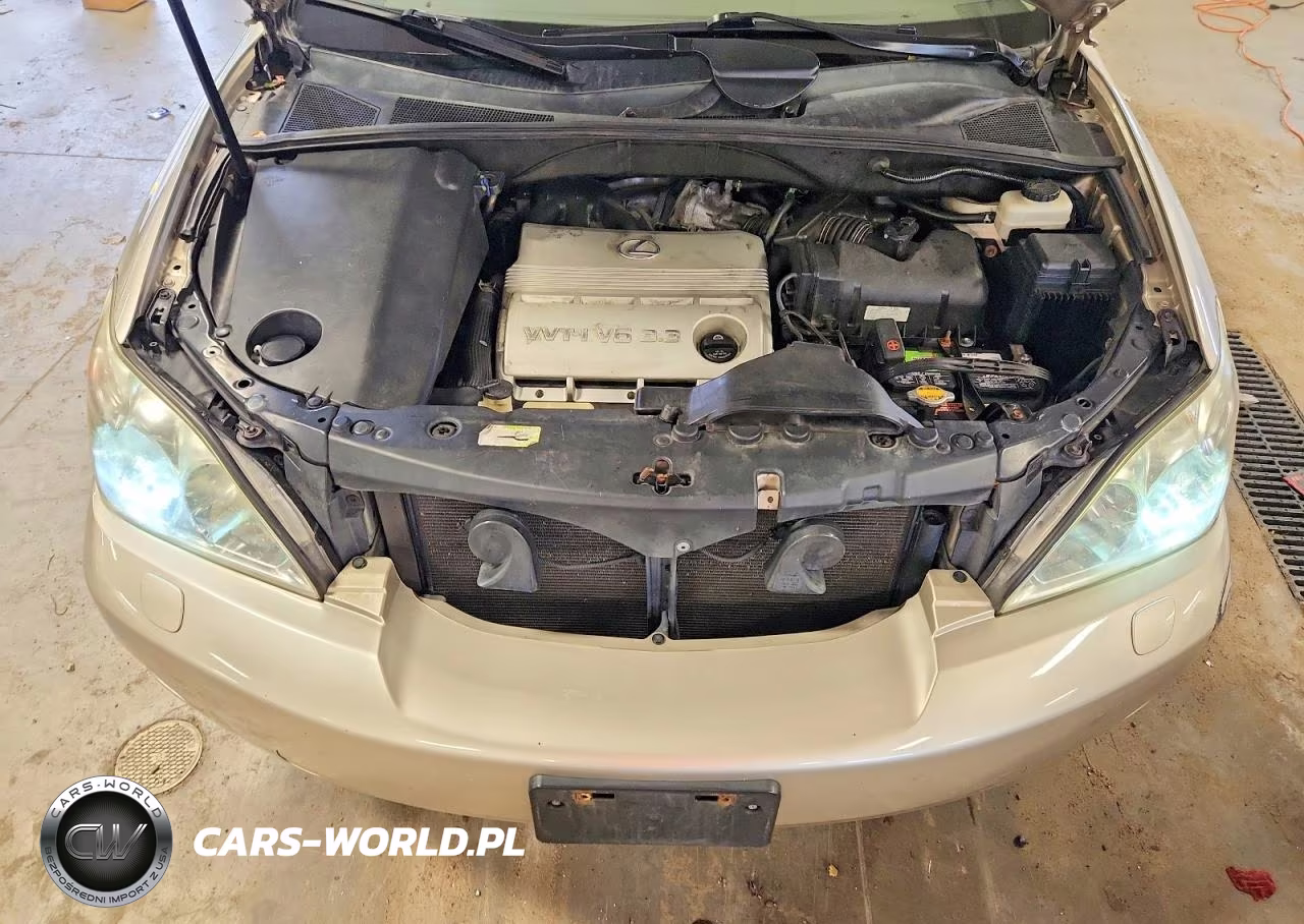 2006 Lexus Rx 330 VIN:2T2HA31U86C096747 - 12